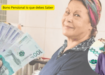 Subsidios para Adultos Mayores: ¿Cómo Acceder a la Renta Solidaria de 230,000?