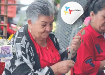 Pilar Semicontributivo: Una Solución para Aquellos que No Cumplen con los Requisitos de Pensión Completa