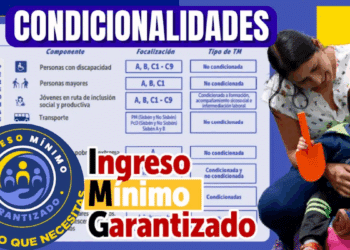 En noviembre puedes validar si eres beneficiario y recibir el subsidio del Ingreso Mínimo Garantizado en Bogotá