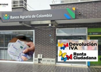 Urgente: el Banco Agrario Actualiza Link Oficial para Consulta de Pagos de Renta Ciudadana y Devolución del IVA con Cédula