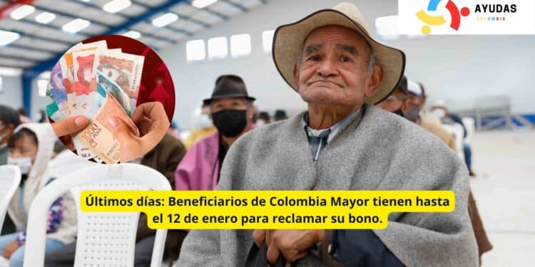 Colombia Mayor paga bono pensional de $230.000: ojo al plazo límite del 12 de enero de 2026