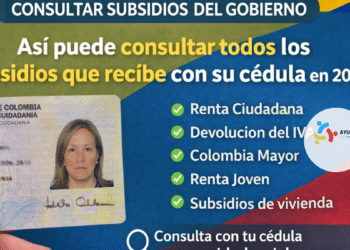 Así puede consultar todos los subsidios que recibe con su cédula en 2026 en Colombia: guía completa de ayudas del Gobierno