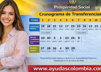 Pagos de Renta Ciudadana y Devolución del IVA 2026: fechas, beneficiarios y cómo cobrar paso a paso