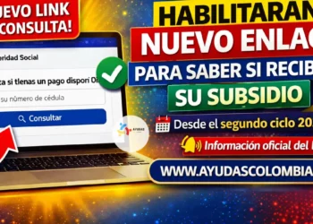 ¿Activarán nuevo link para consultar subsidios en 2026? Esto es lo que se sabe hasta ahora