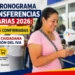Nuevo Cronograma de Transferencias Monetarias 2026 Fechas Confirmadas para Renta Ciudadana y Devolución del IVA