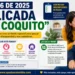 Ley 2456 de 2025: el nuevo apoyo para personas con discapacidad explicado “a lo coquito”