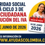 renta ciudadana devolucion iva ciclo 3