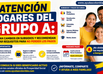 Atención hogares del Grupo A: anuncian cambios en subsidios y recomiendan verificar requisitos para no perder los pagos