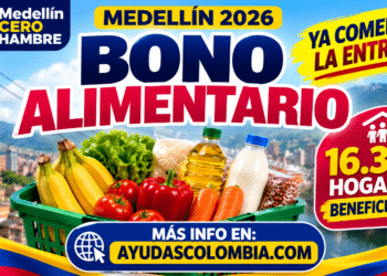 Bono Alimentario Medellín 2026: quiénes reciben la ayuda, cuánto dinero entregan y cómo reclamar el beneficio