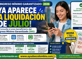 Ingreso Mínimo Garantizado: ya aparece la liquidación de julio de 2026, así puede consultar si recibirá el pago