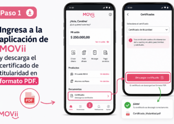 pendiente verificacion siif movii