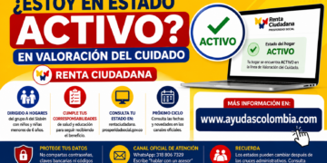 valoracion del cuidado estado activo 2026