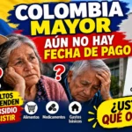resumen pagos colombia mayor