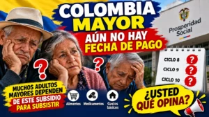 resumen pagos colombia mayor