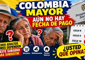 resumen pagos colombia mayor