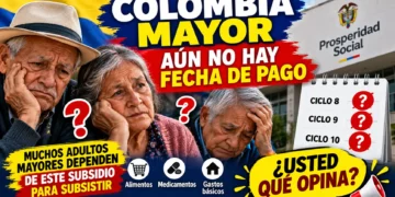 resumen pagos colombia mayor