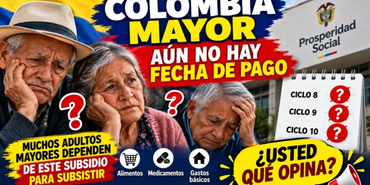 resumen pagos colombia mayor